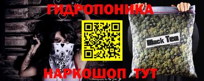 ECSTASY Будённовск
