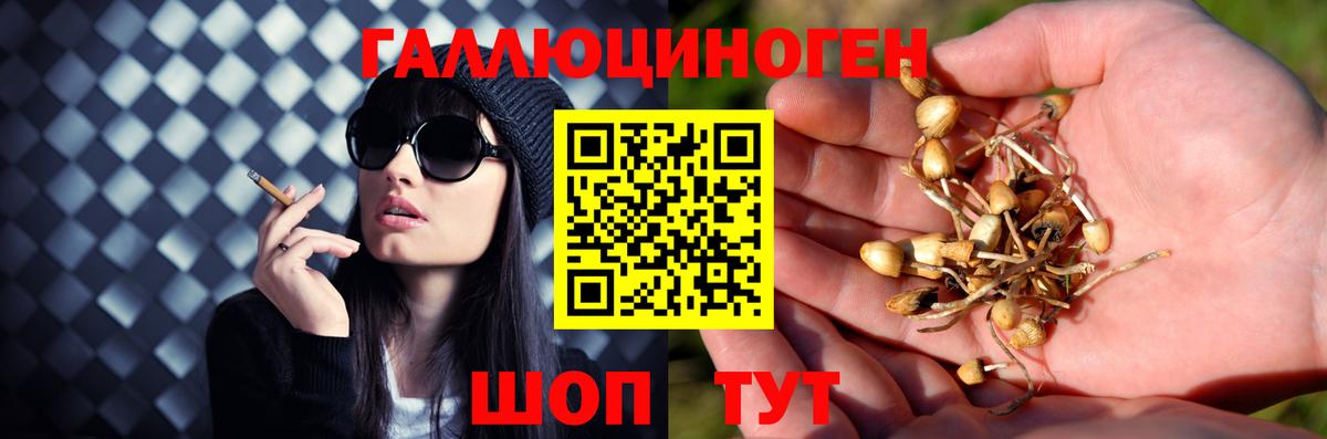 Псилоцибиновые грибы прущие грибы  Вход с VPN  Саянск 